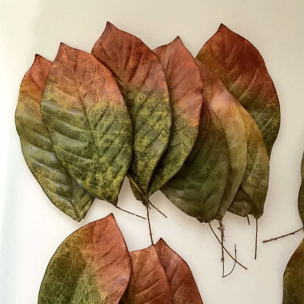 MAGNOLIA BIG LEAVES  DIY BUNDLE CRAFTS HOME DECOR 30 LEAVES 4 BRANCHES
